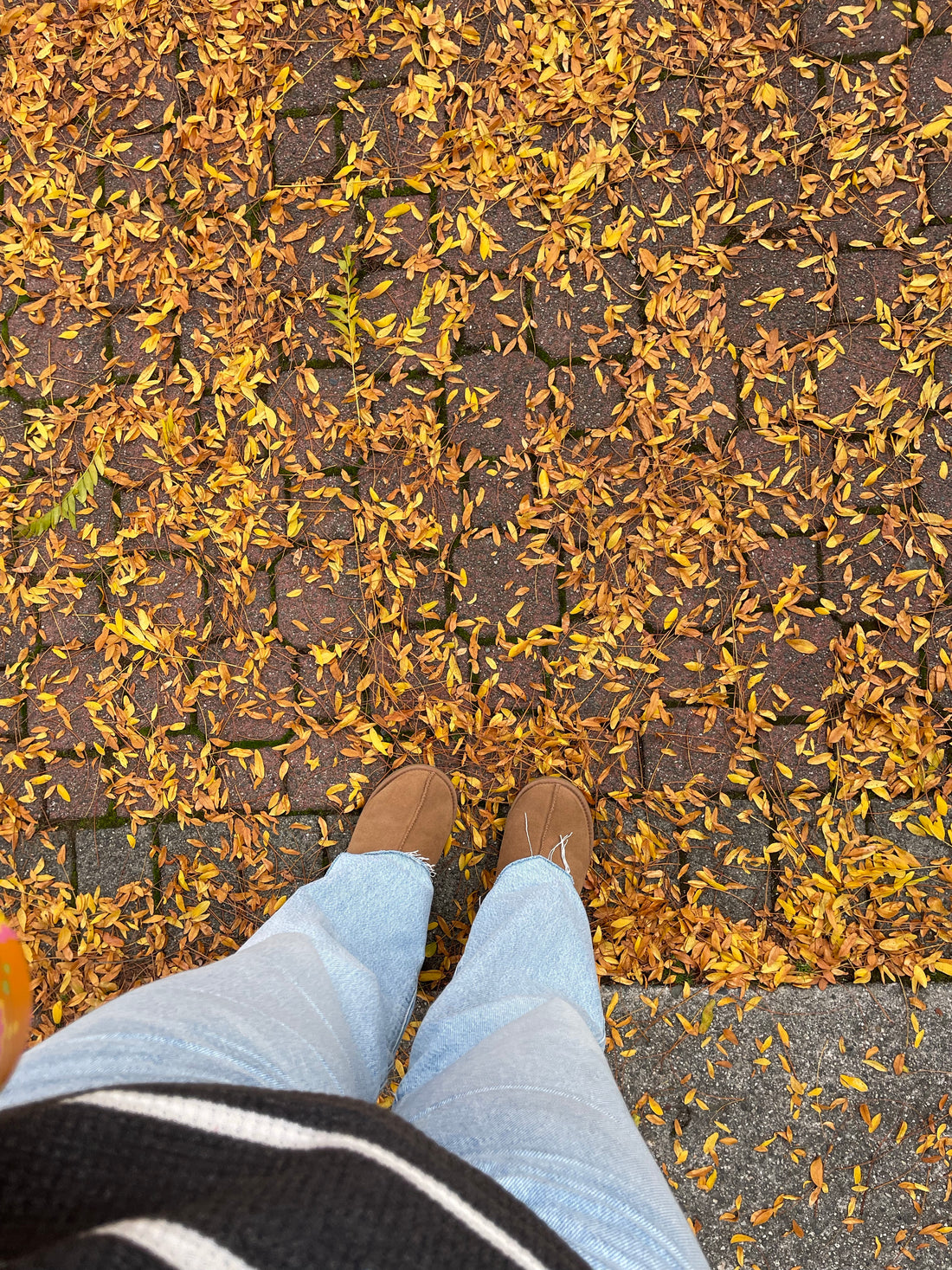 The Perfect Fall Morning Routine for Self-Care